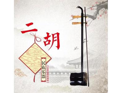 招聘吉安二胡家教老师